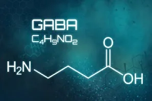 GABA illustration